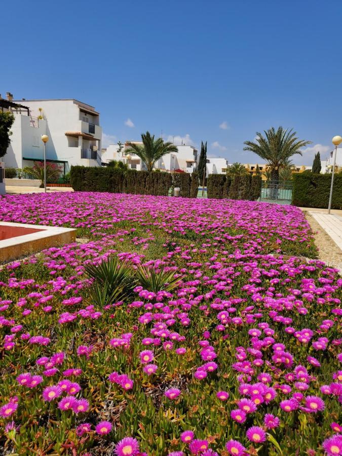Apartamento En Primera Linea De Vera Playa Naturista! Exterior foto