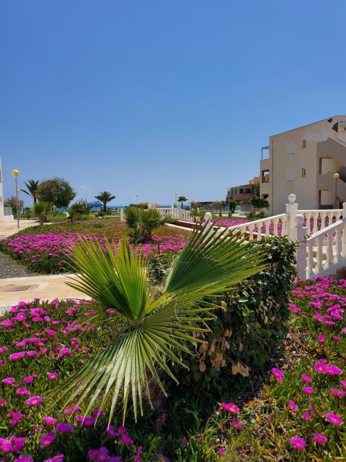 Apartamento En Primera Linea De Vera Playa Naturista! Exterior foto